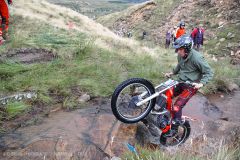 Weadale & DMC Trial 065