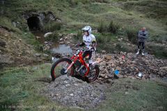 Weadale & DMC Trial 038