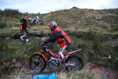 Weadale & DMC Trial 048