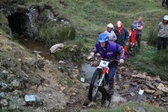 Weadale & DMC Trial 024