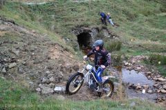 Weadale & DMC Trial 009