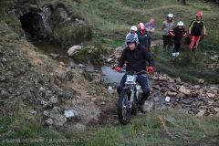 Weadale & DMC Trial 027