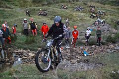 Weadale & DMC Trial 026