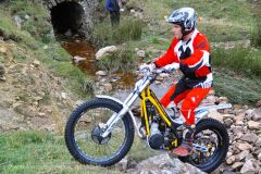 Weadale & DMC Trial 005