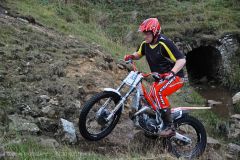 Weadale & DMC Trial 041