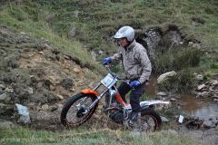 Weadale & DMC Trial 039