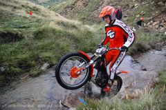 Weadale & DMC Trial 079