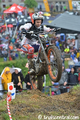 toni bou belgium 2014