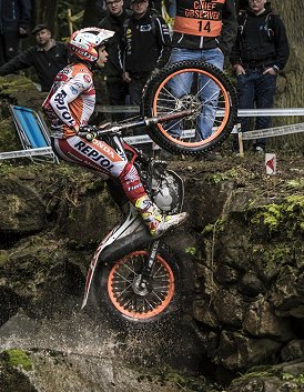 toni bou czech republic